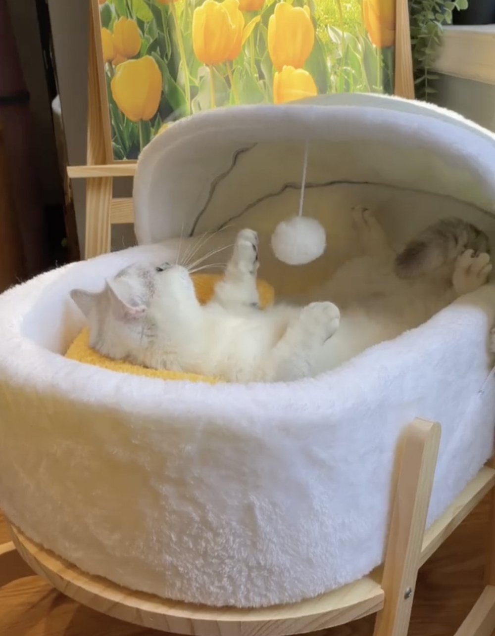 奴才：你最好命了啦