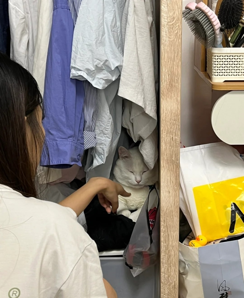 奴才：你也可以回自己的窩取暖啊