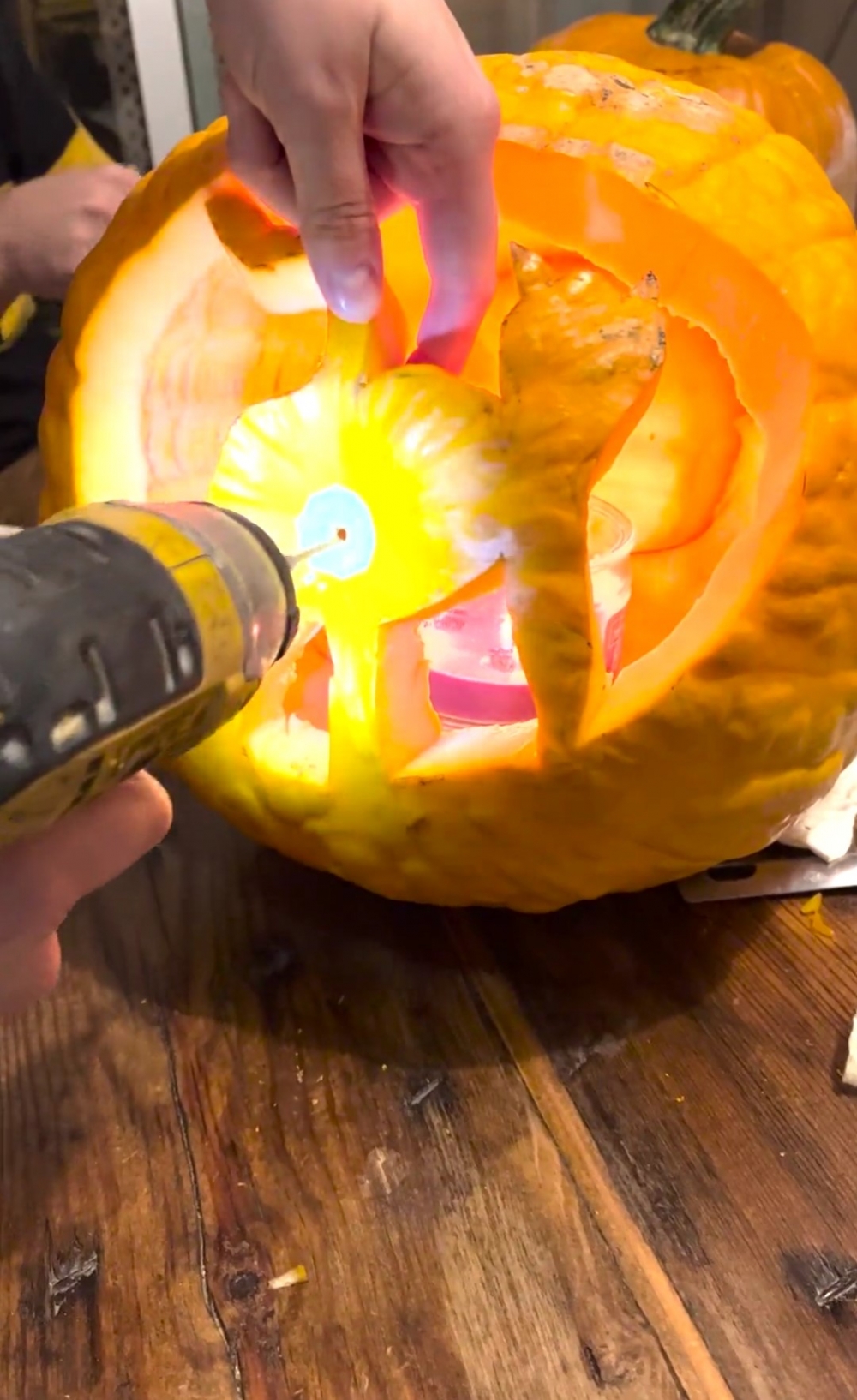 喵：為什麼要這樣對朕！