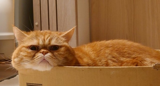 奴才：放鬆心情自然就會有感覺了