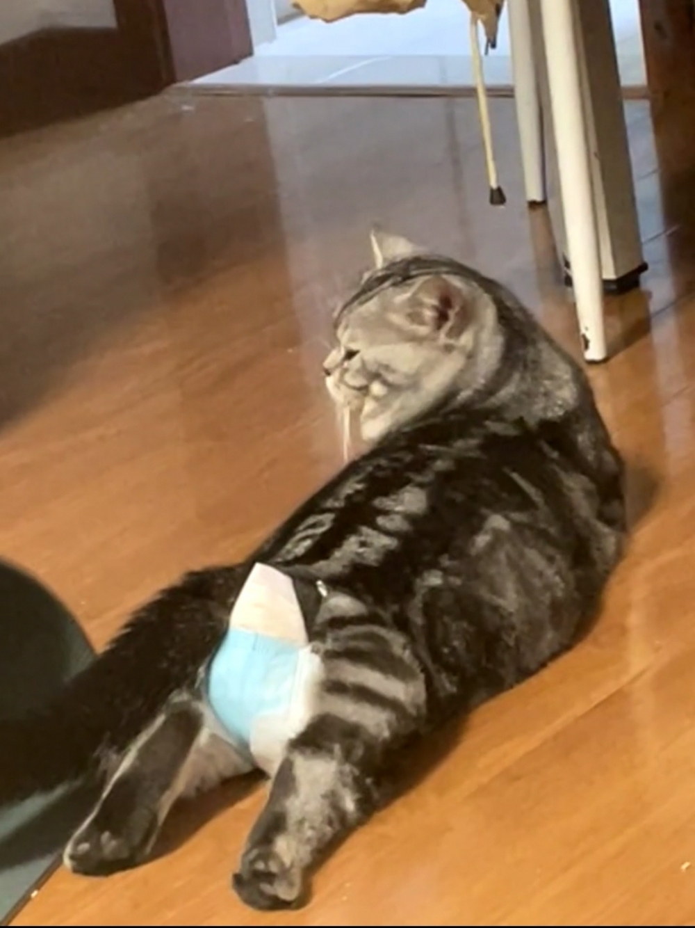 奴才：尿布很貴噠