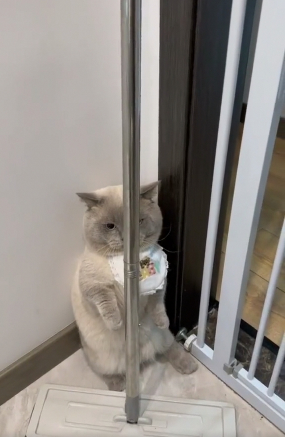 奴才：今天那麼厲害藏喔