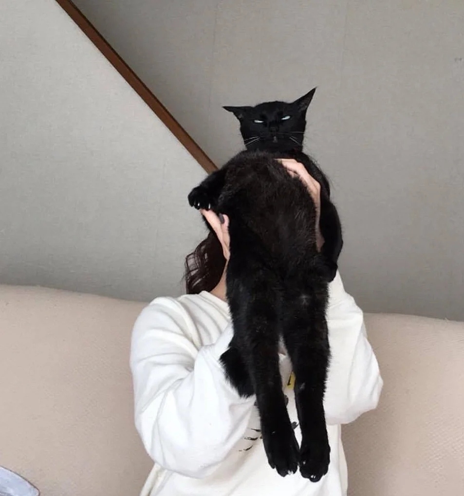 奴才：已經放下來了啦