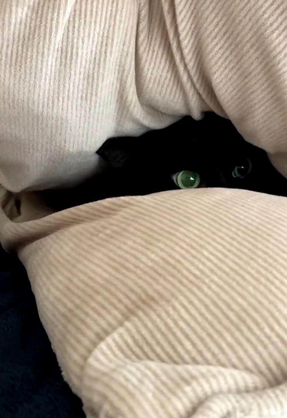 奴才：這一次又藏在哪裡呢？