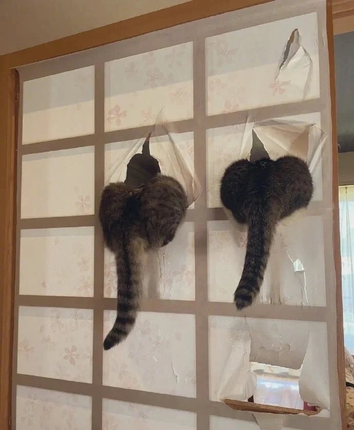 奴才：如何做到配合的那麼好的