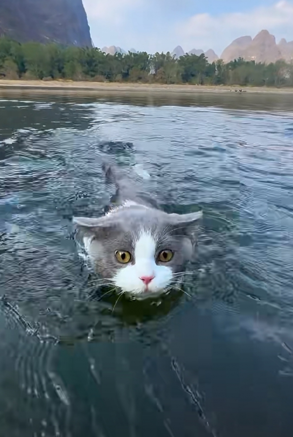 奴才：拋遠一點讓你游回來