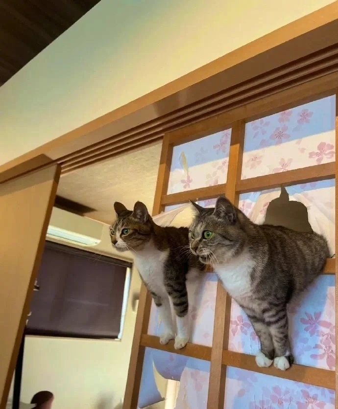 奴才：還好意思在那邊偷笑