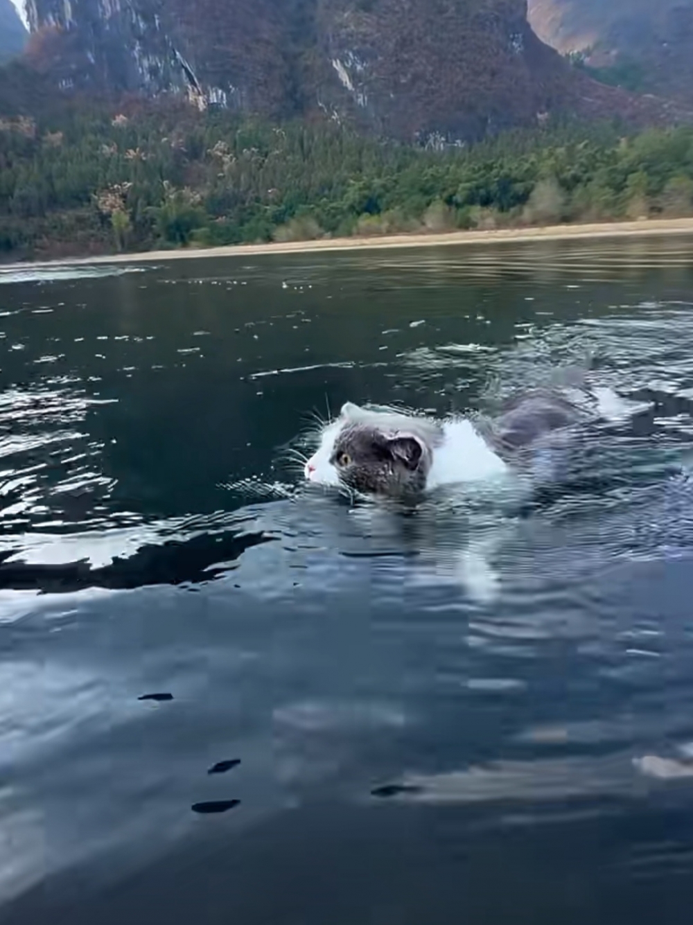 奴才：去吧~自己小心就好