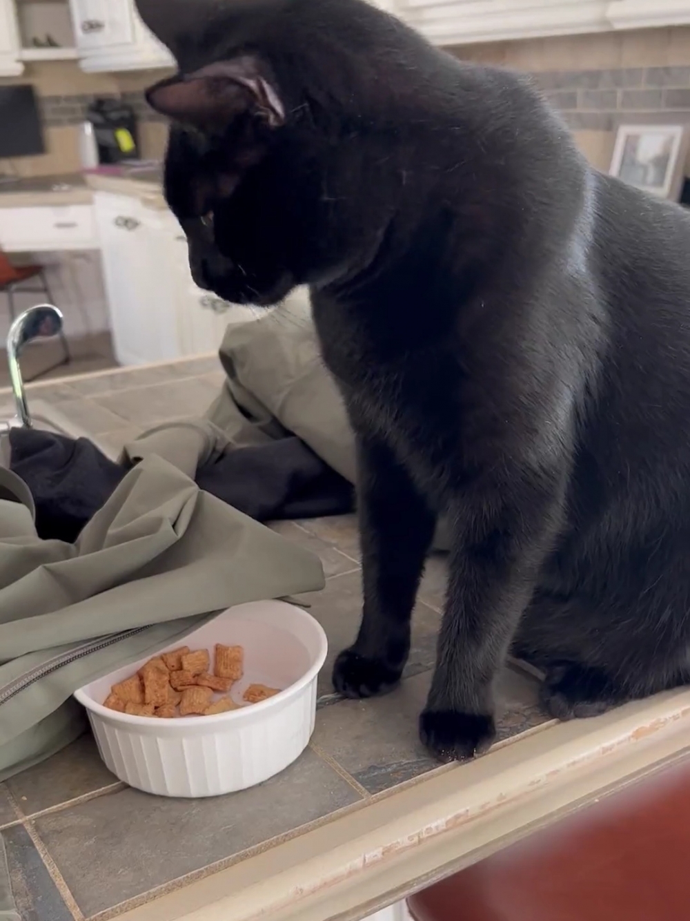 奴才：喲~膽量不錯啊！