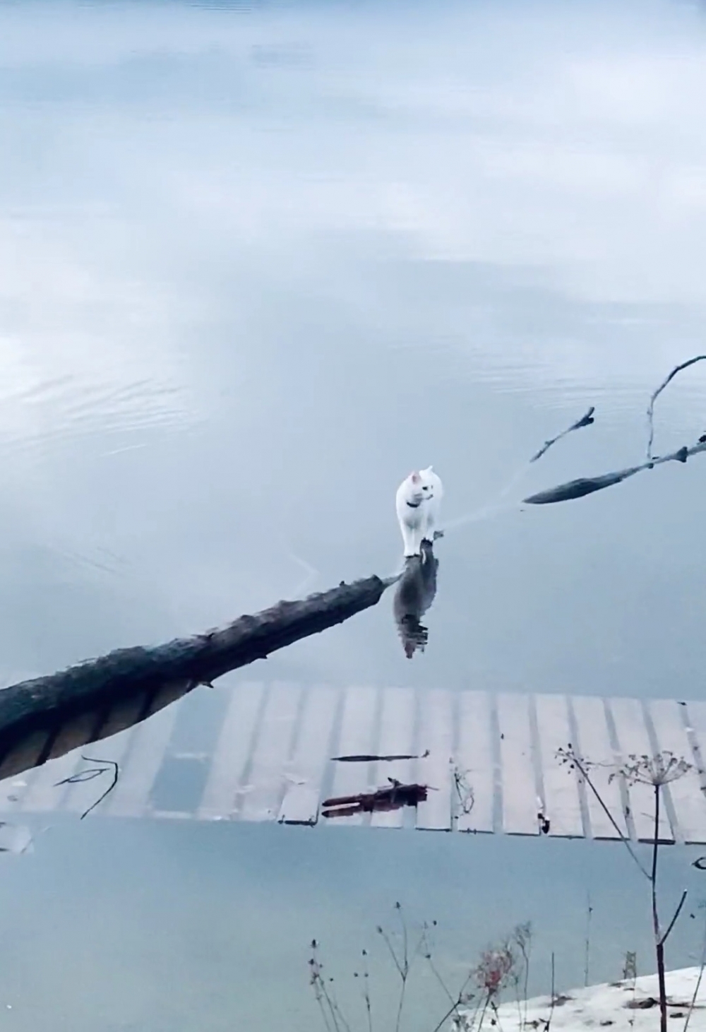 奴才：根本就是活在了自己的世界裡啊