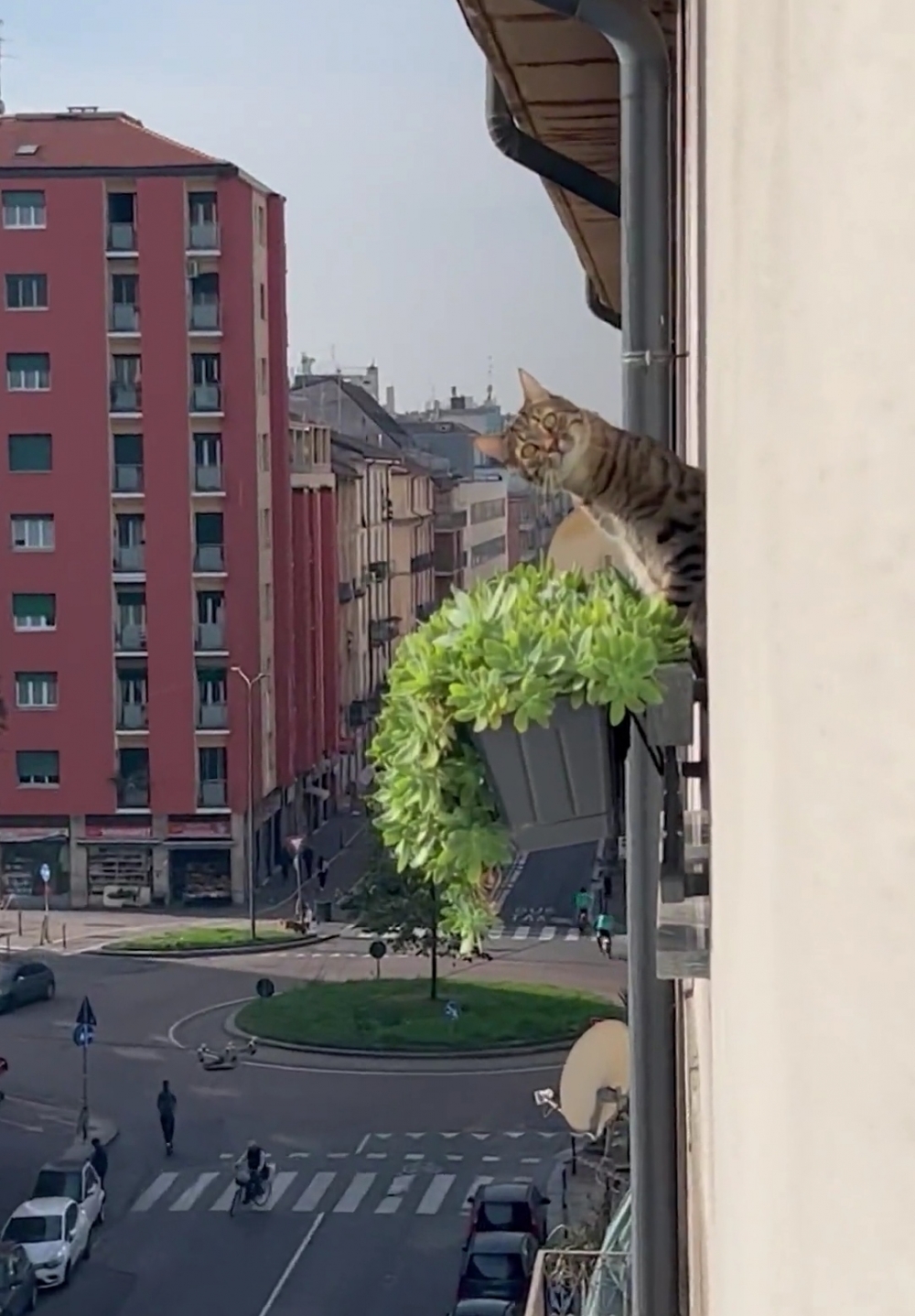 奴才：真的被你嚇到了