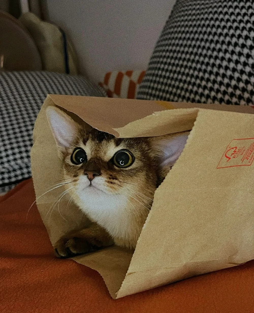 奴才：有什麼是不可以說的嗎？