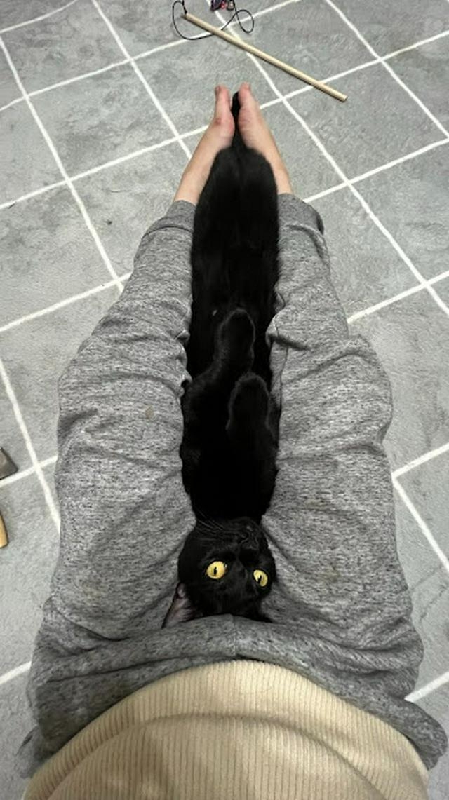 奴才：這樣看你身體好長喔