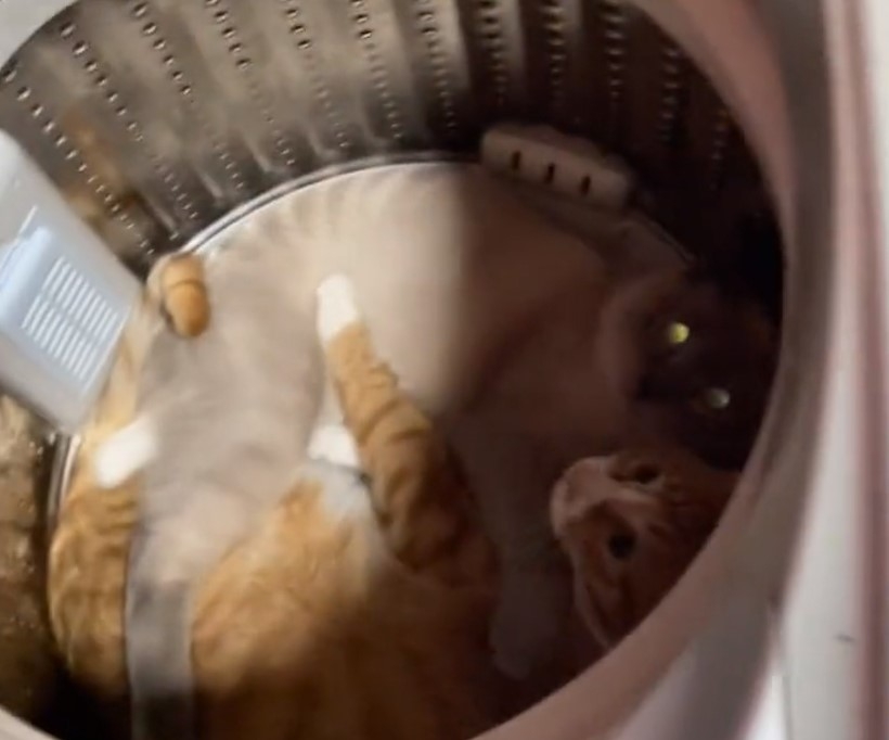 奴才：我知道你們是很單純的友誼