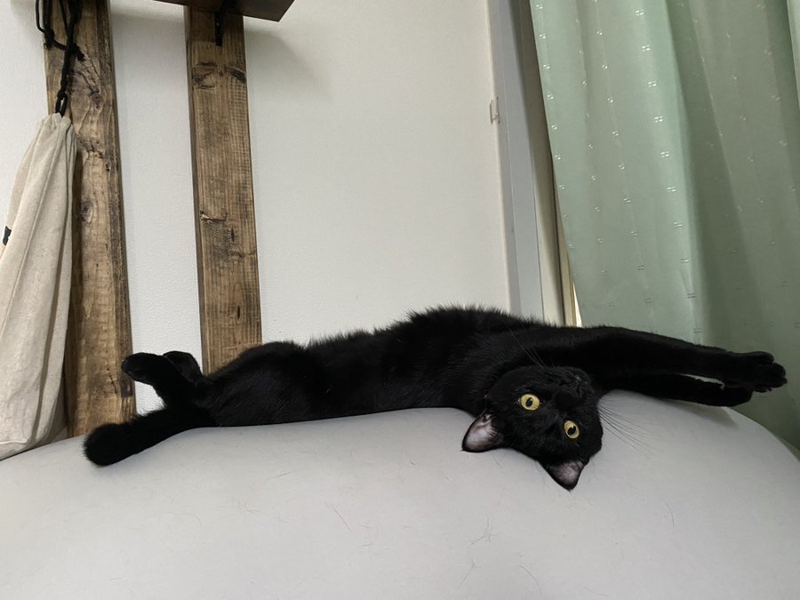 奴才：我也很感謝你願意相信我啦！