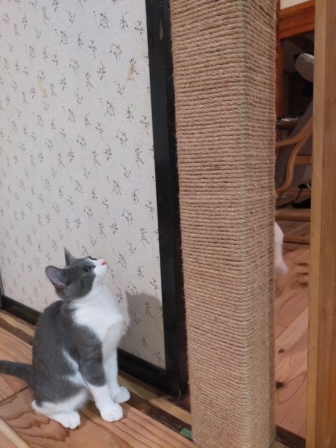 奴才:能夠讓你們有這個感覺真好~