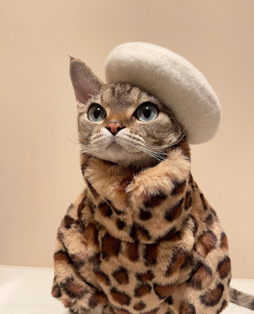 奴才：原來你喜歡這種風格啊