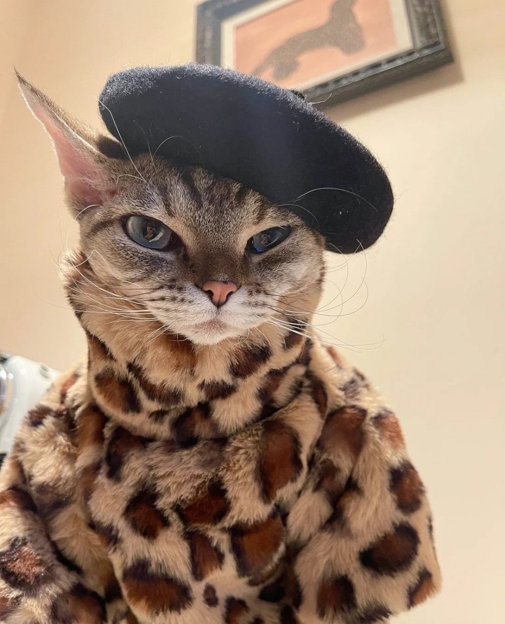 奴才：好的喔~你喜歡就好