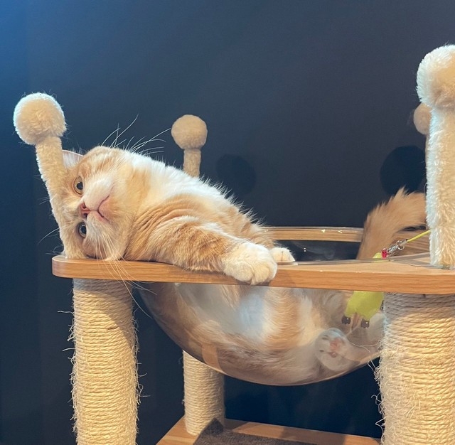 奴才：都還沒到吃飯時間啊