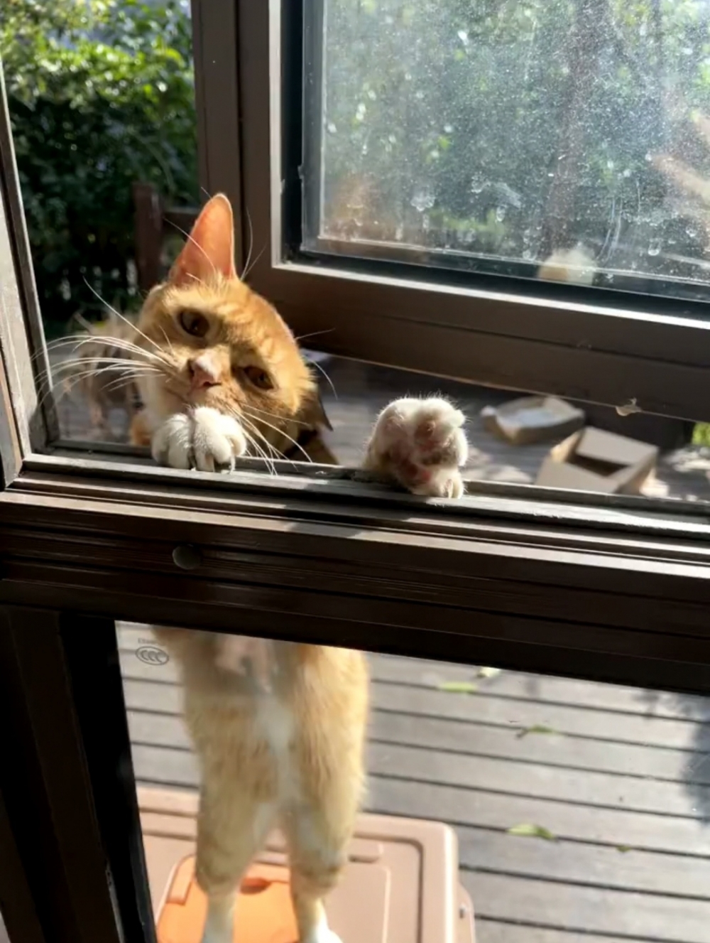 奴才：別緊張，慢慢來啦