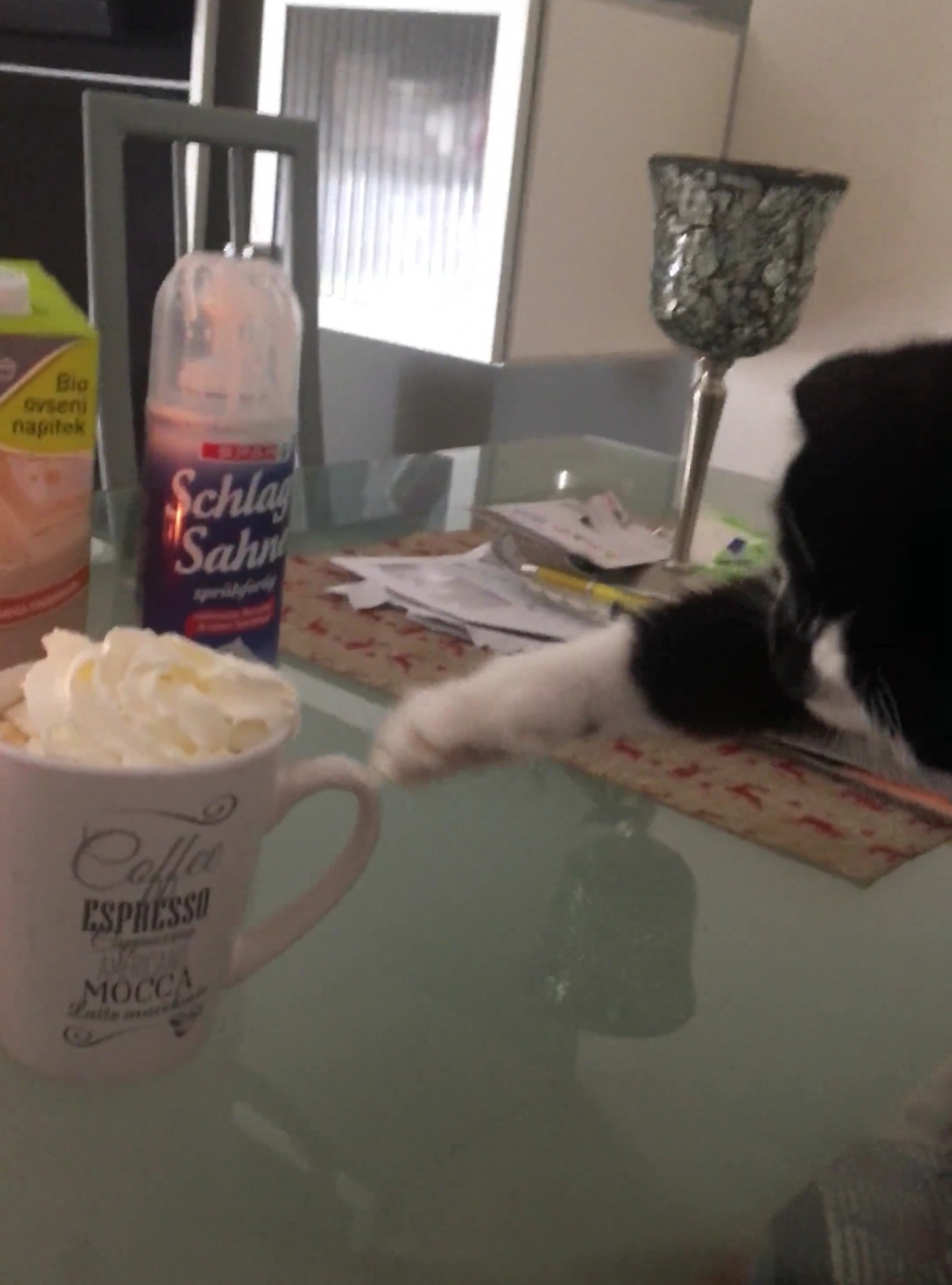 奴才：打開了新味蕾的大門嗎？