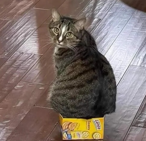 奴才：可以少買很多化妝品誒