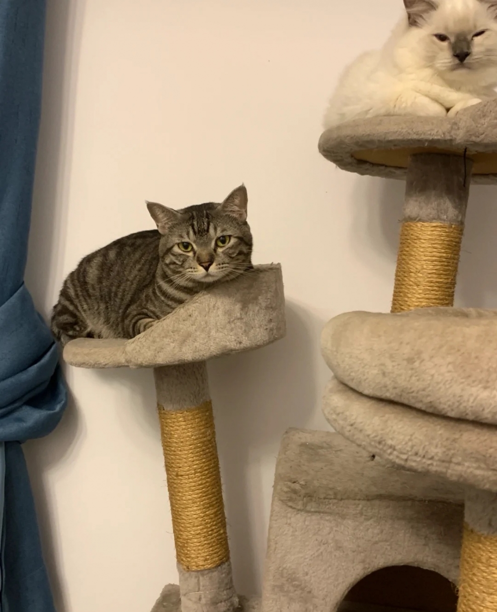 奴才：是誰先弄壞的還說不一定呢！