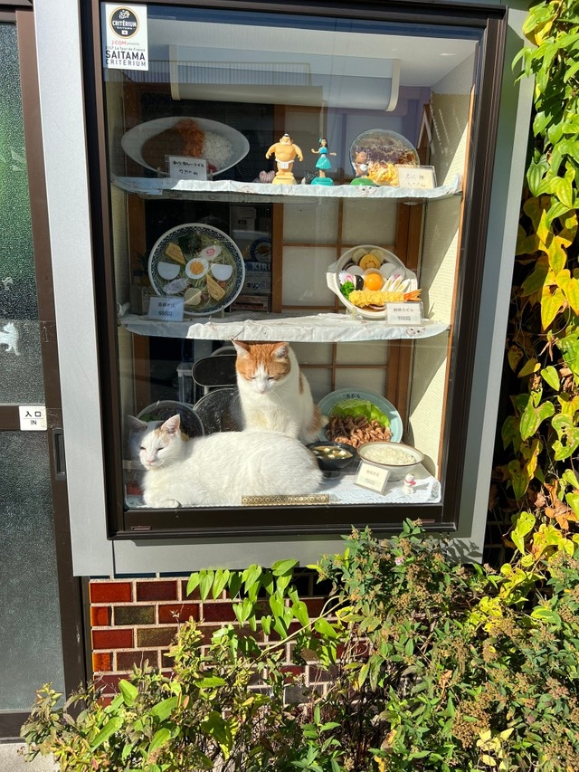 奴才：是我的得力小幫手誒