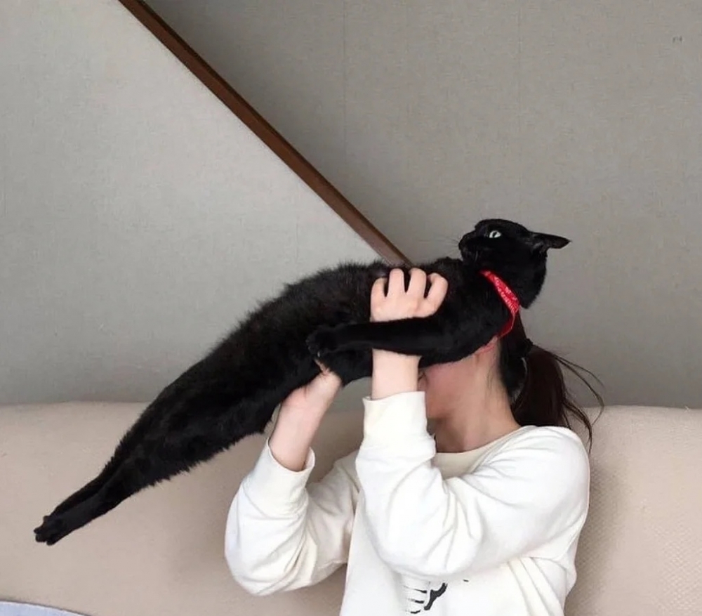 奴才：不覺得這樣很好玩嗎？