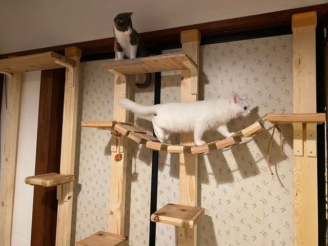 奴才:還滿意嗎?