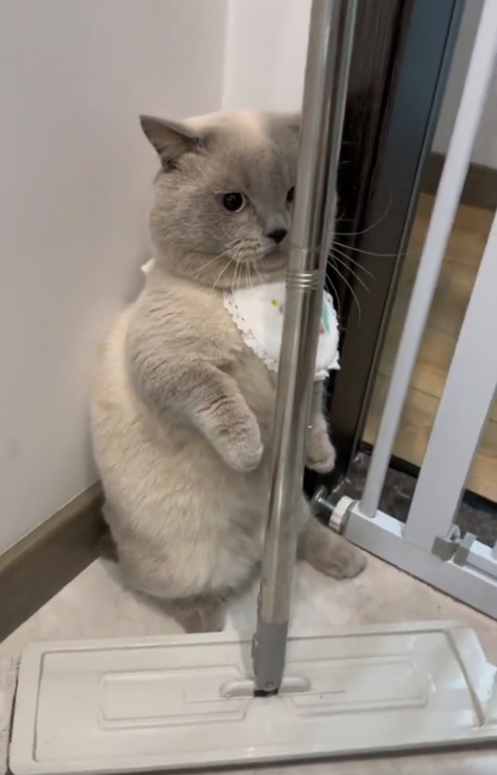 奴才：呵呵~我找不到你誒