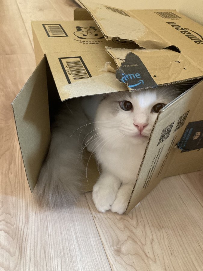 奴才：一眼就看見了