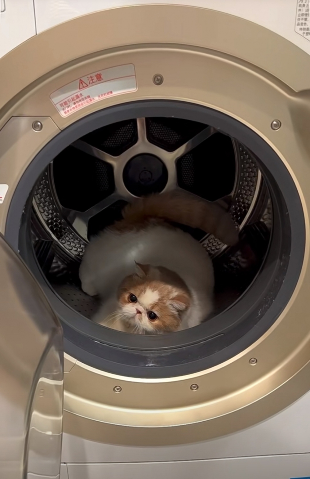 奴才：那你可要加把勁了