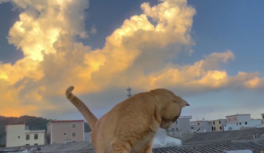 奴才：一天的疲憊都消失了