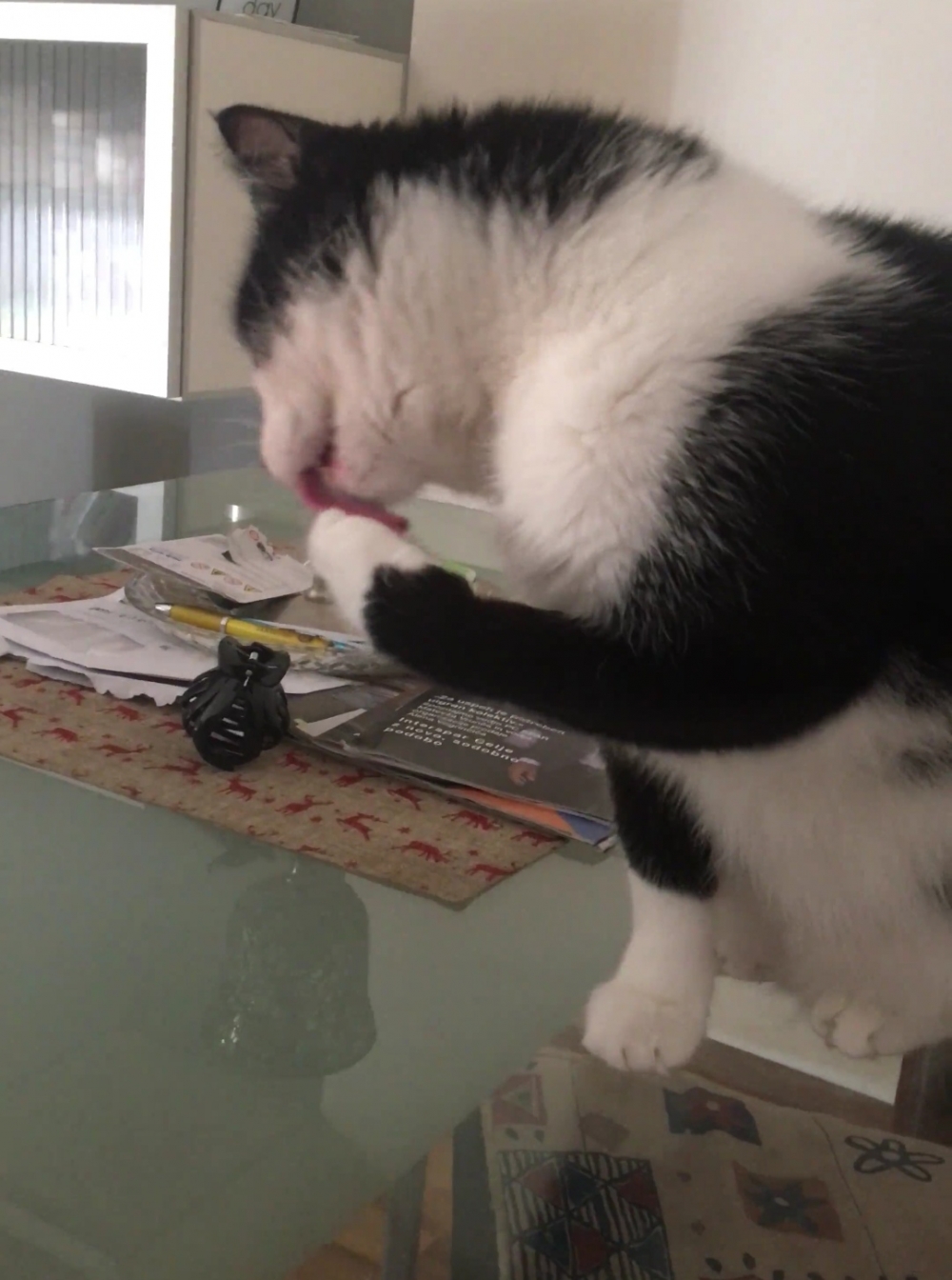 奴才：就讓給你吃吧