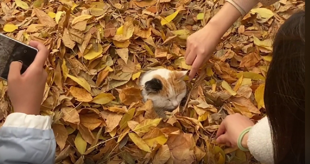 學妹：學長今天過得開心嗎？