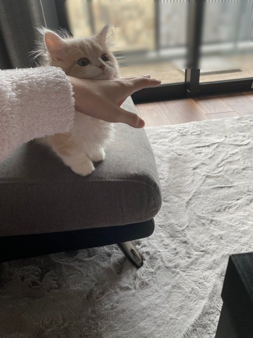 奴才：那我可就要盯緊你了