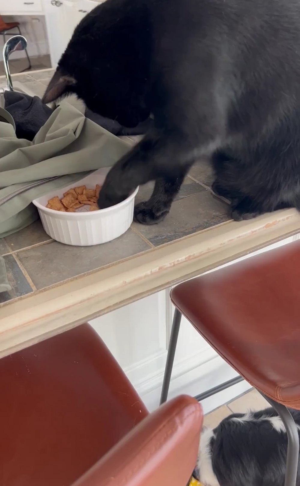 奴才：我還在這裡看著誒