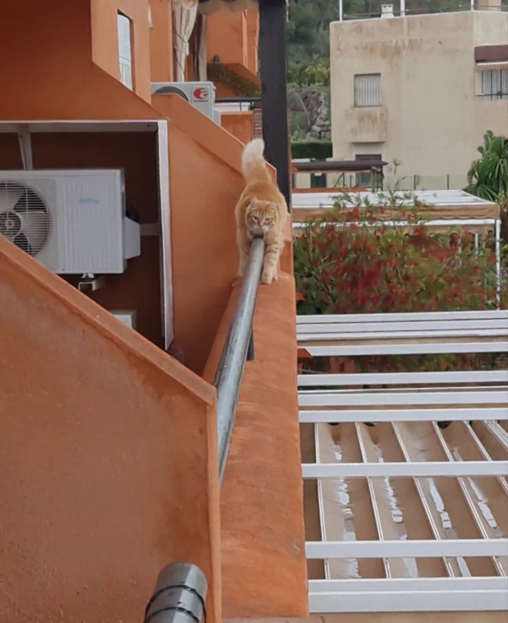 奴才：不管怎麼樣還是安全第一啦