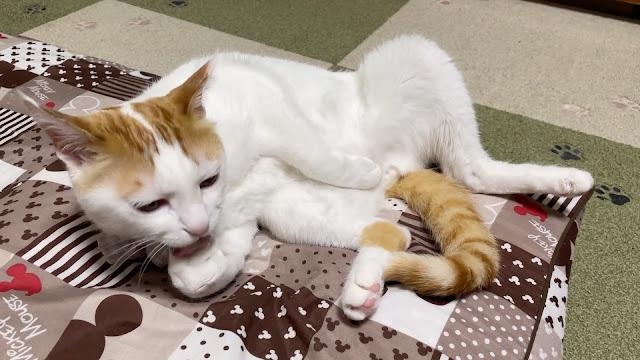 奴才：額...坐好一點嘛