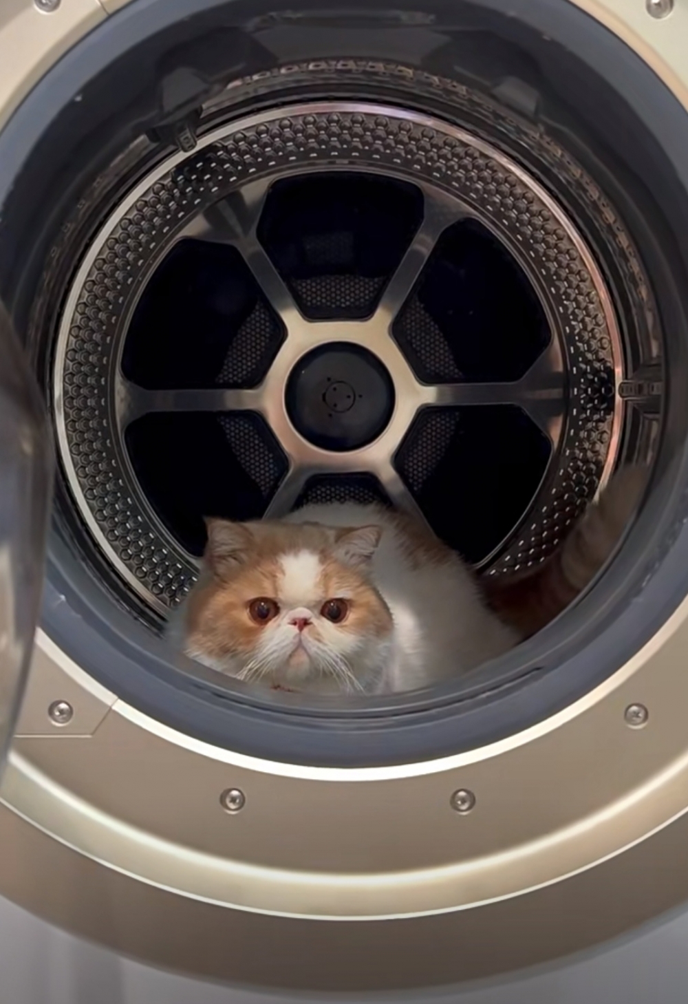 奴才：也太快了吧