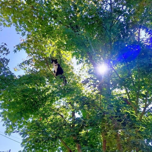 奴才：過成你想要的樣子吧