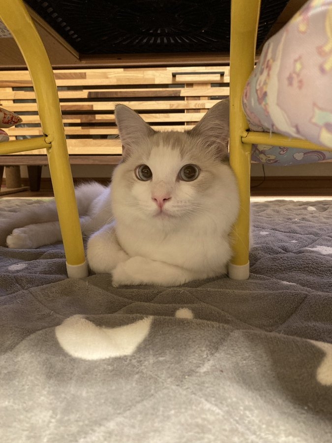 奴才：一眼就看見了