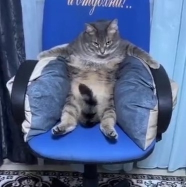 奴才：你想幹嘛呢！