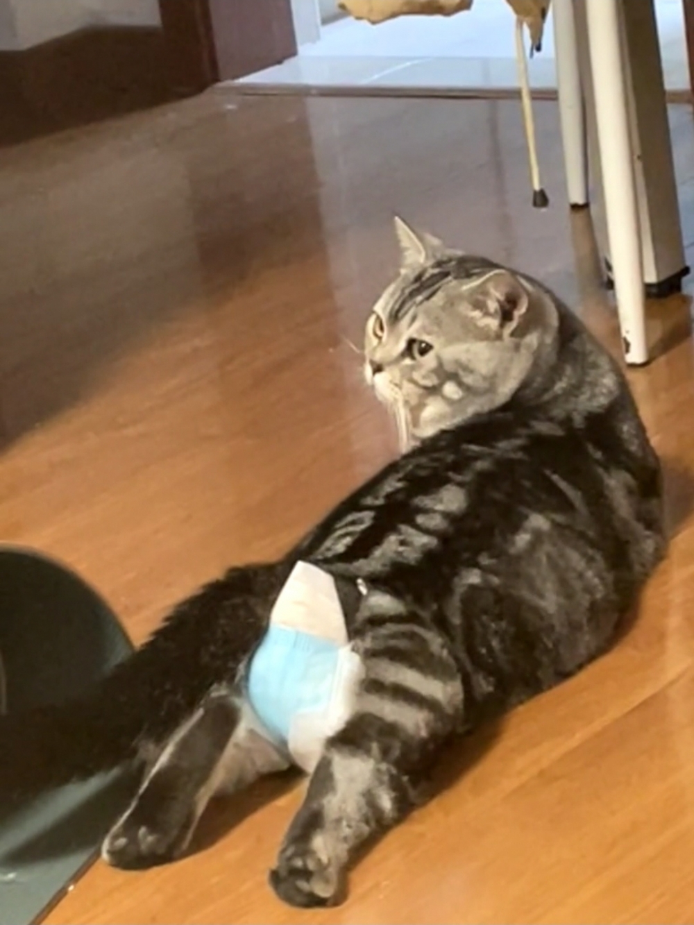 奴才：誰叫你不會定點「方便」啊