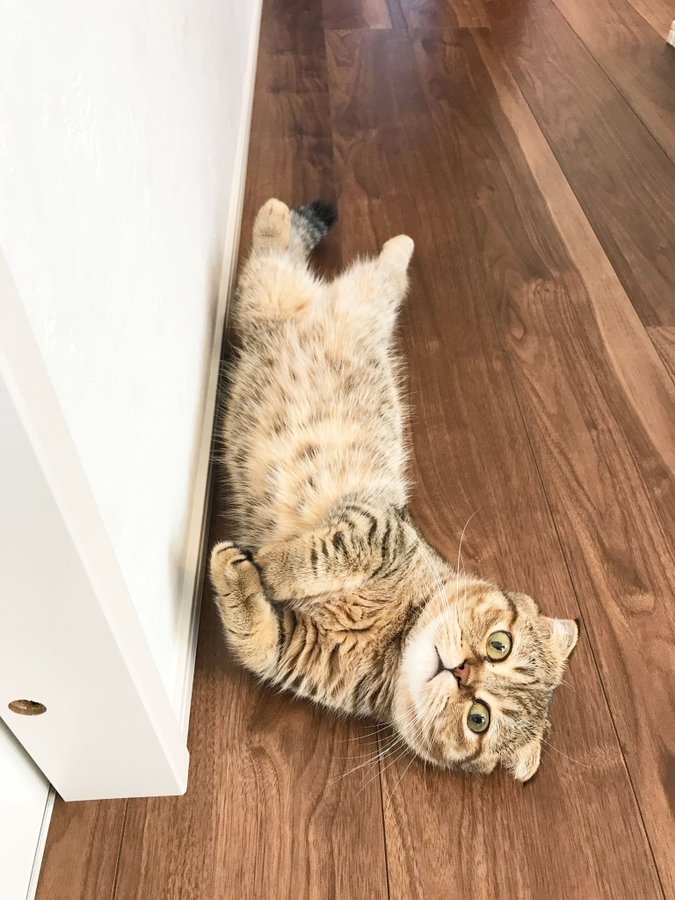 奴才：哎呦~吃了再睡也可以啊