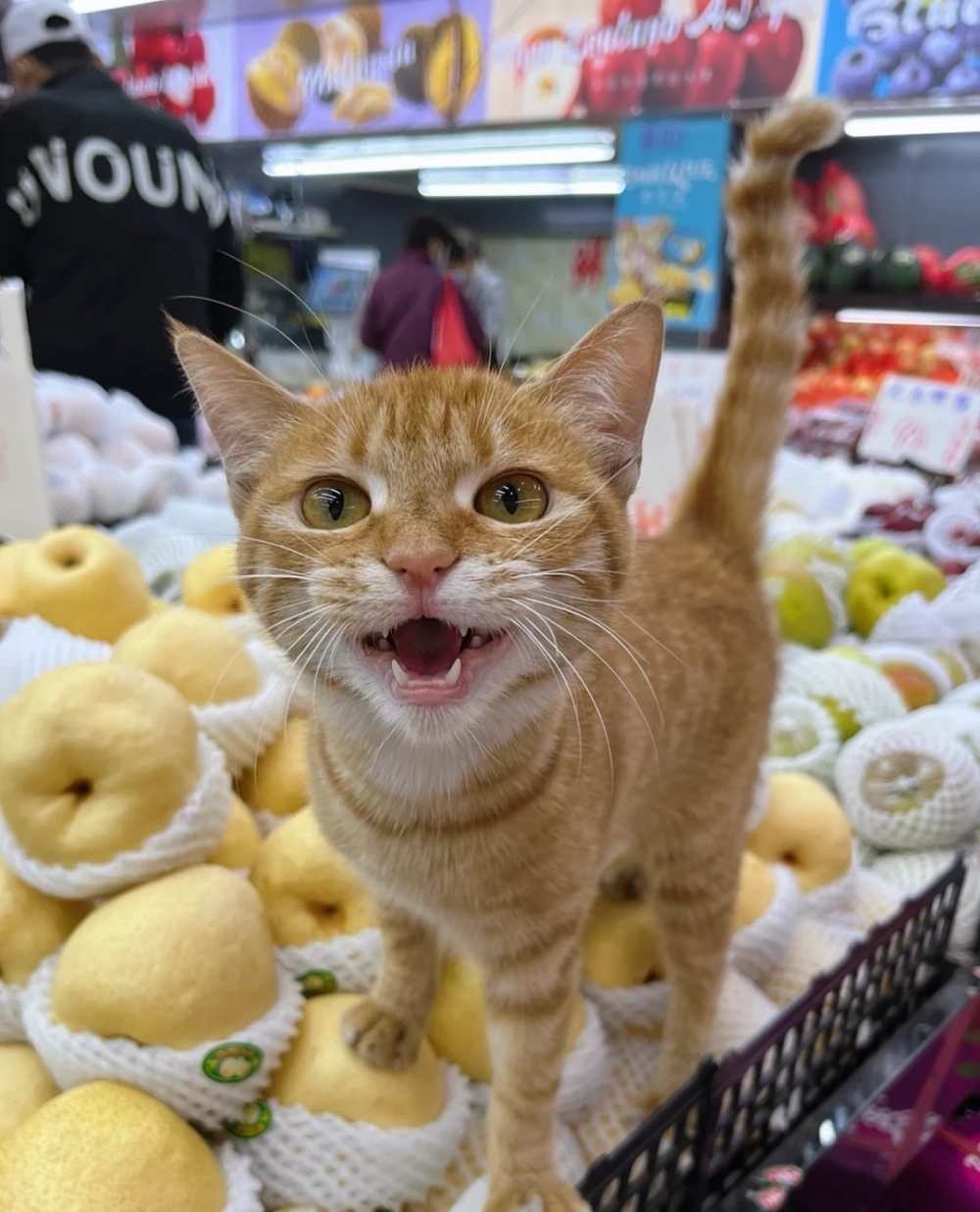 顧客：好會做生意啊