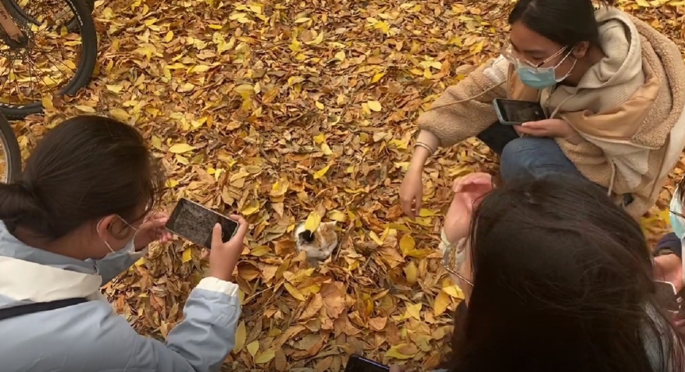 學妹：每個舉動都好可愛啊