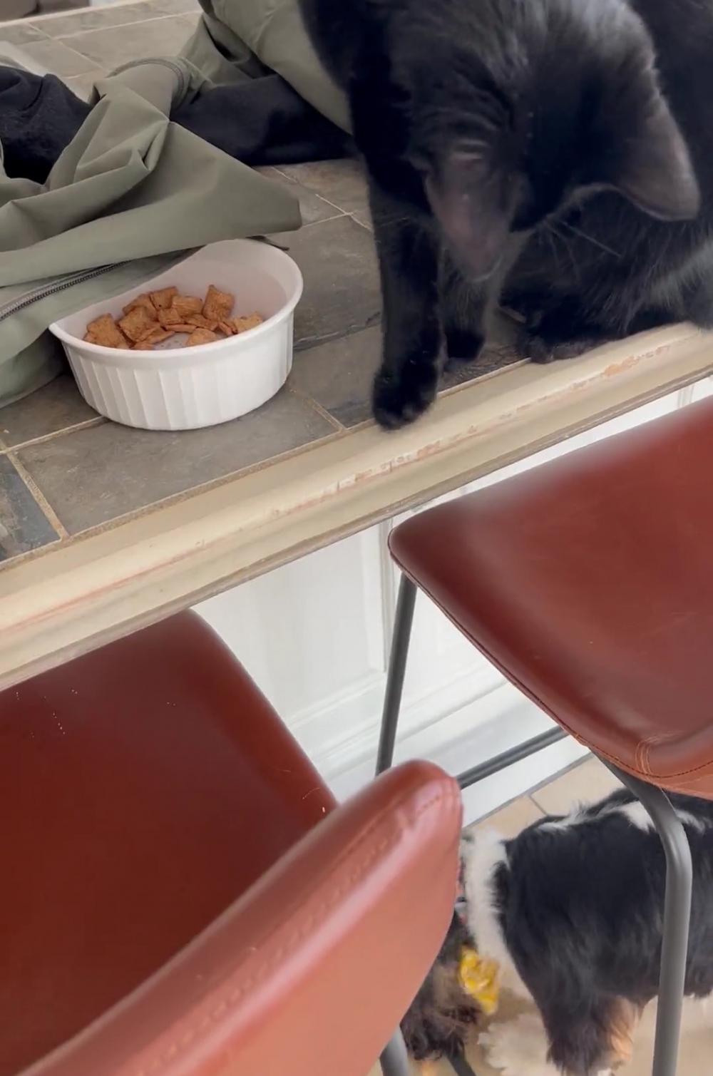 奴才：有沒有在聽我說話啊