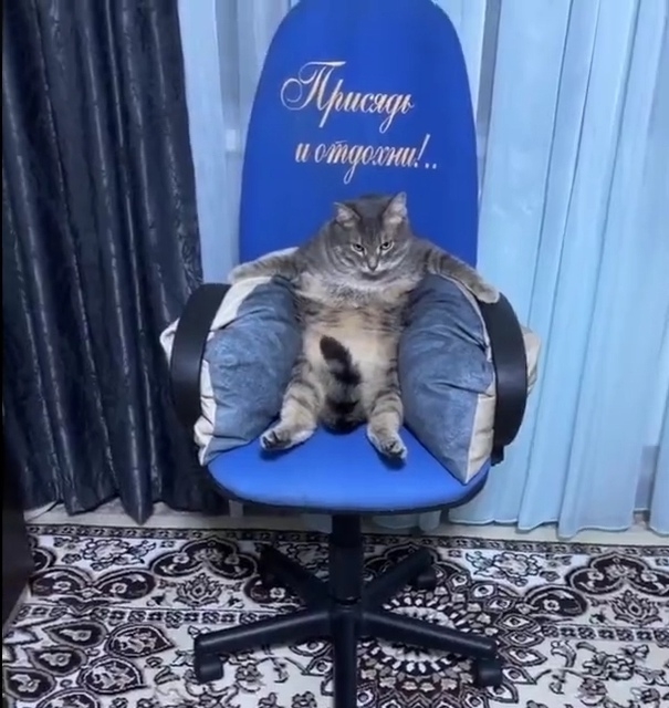 奴才：好啦好啦~就讓你開心一下囉